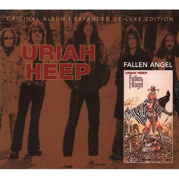 Amazon.com: Fallen Angel